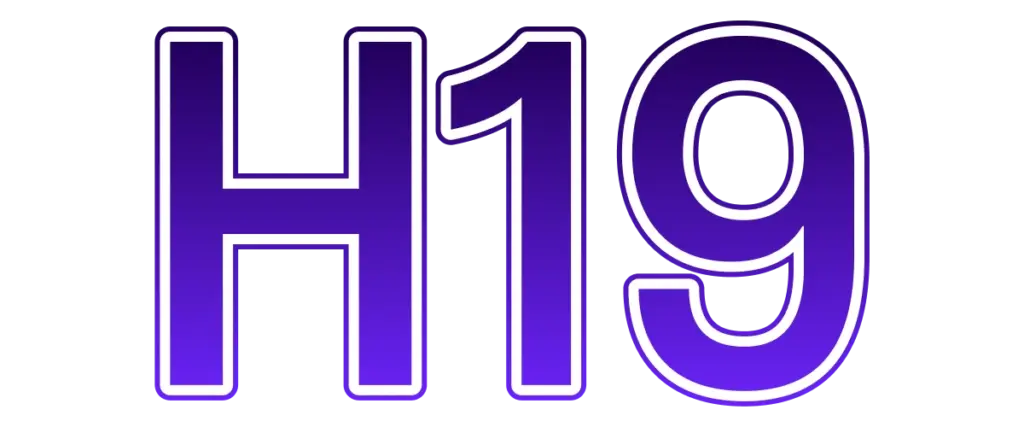 h1999.co